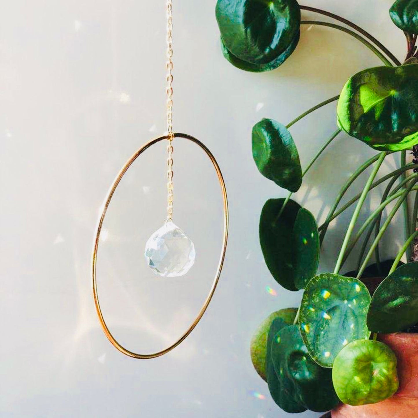Sun Catcher