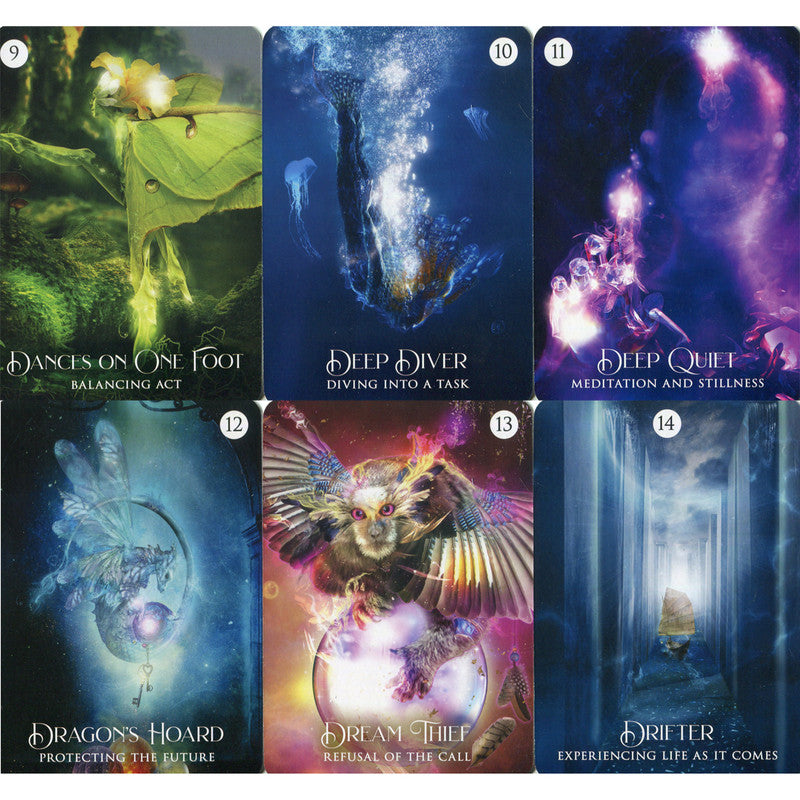 The Shaman´s Dream